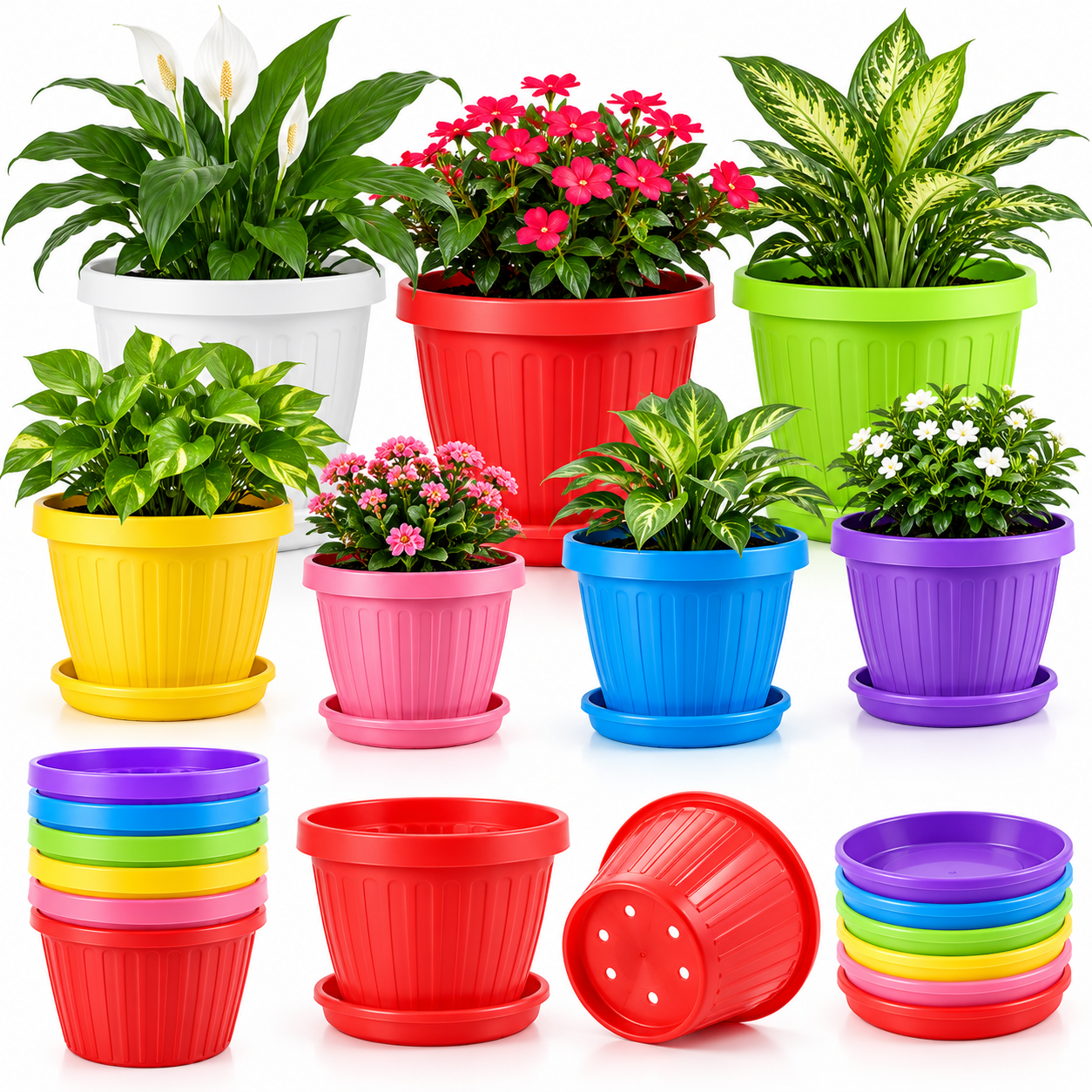 Colorful Ribbed Plant Pots Display (1)